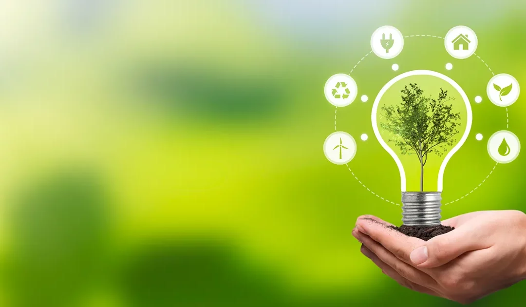 hands holding light buld with green symbols around it